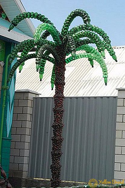 Exotic garbage, palm tree from plastic bottles with their own hands