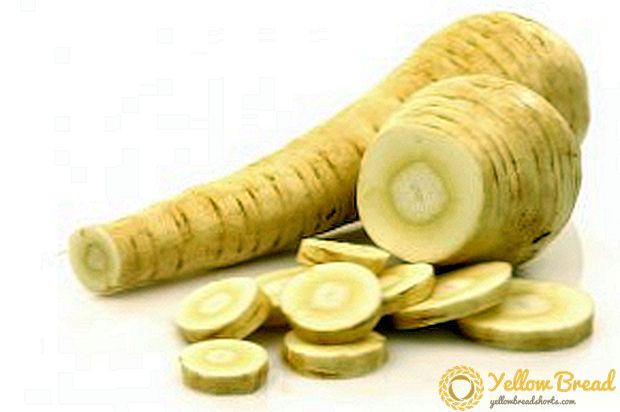 Recipes for the preparation of parsnip for the winter
