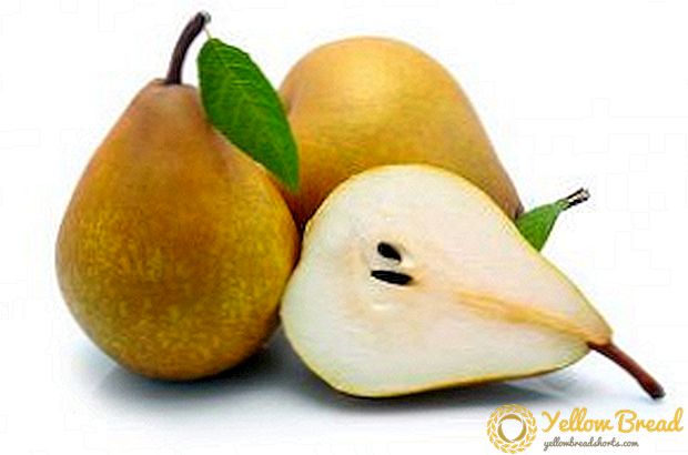 Keuntungan lan cilaka mangan pears