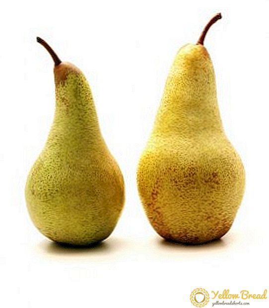 Pear 