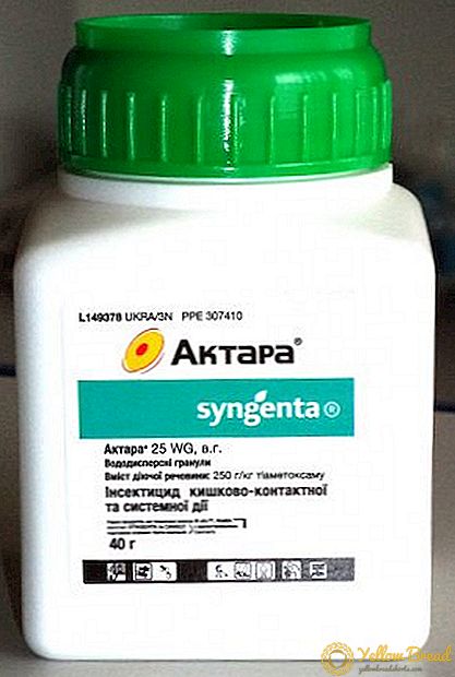 「アクタラ」：薬物の組成、作用機序および使用