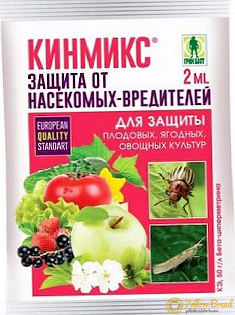 Kinmiks: οδηγίες χρήσης του φαρμάκου κατά των παρασίτων που τρώνε φύλλα