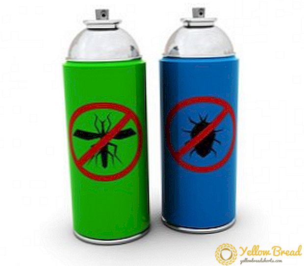 Lijst van de meest populaire insecticiden met beschrijvingen en foto's