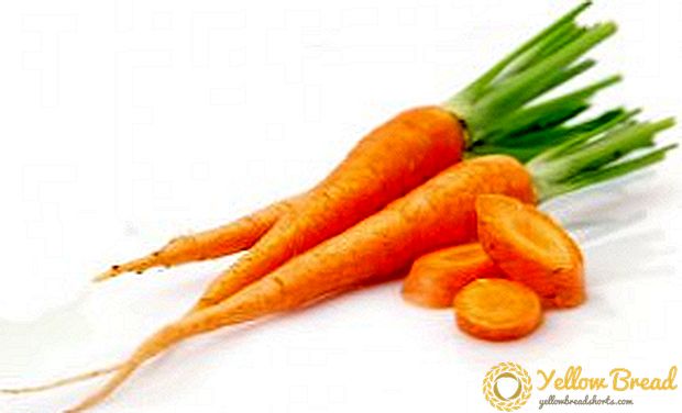 गाजर कीटों का मुकाबला करने के साधन और तरीके