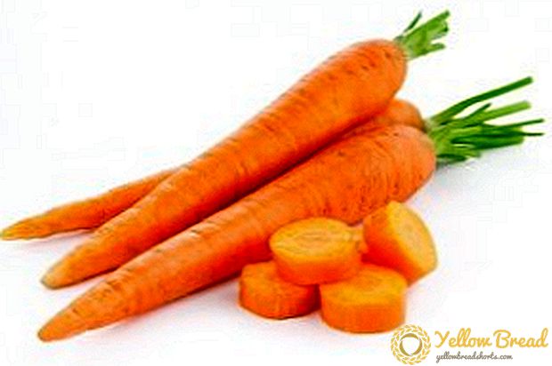 Bewährte Methoden zur Bekämpfung von Karottenkrankheiten