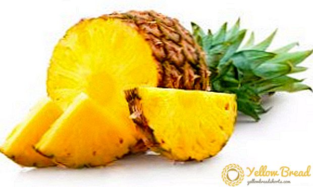 Was ist nützliche Ananas, die Zusammensetzung und Verwendung von Pflanzen