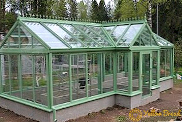 Mga tampok sa disenyo ng mga greenhouse ng polycarbonate, pagsisiyasat ng mga pagpipilian para sa pagbili