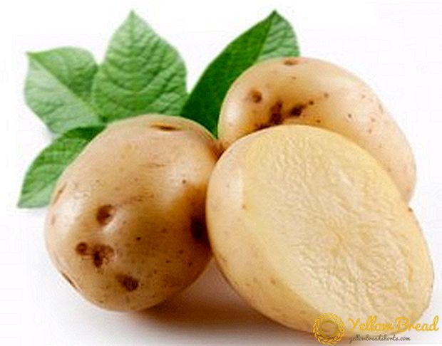 أفضل أنواع البطاطا للزراعة في سيبيريا