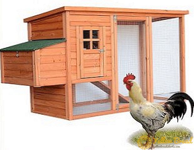 Praktiska tips om att göra en kyckling coop med egna händer