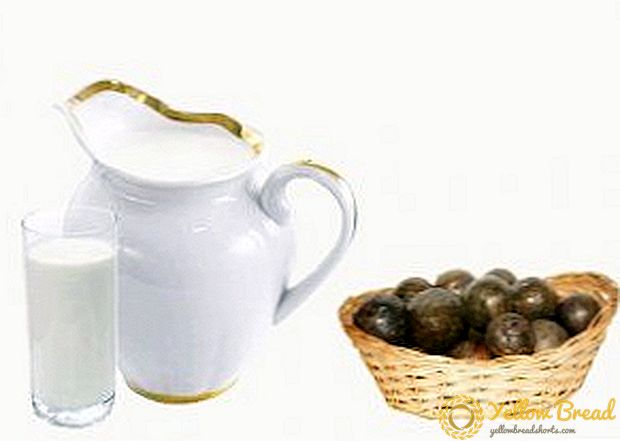 Manfaat susu dengan propolis