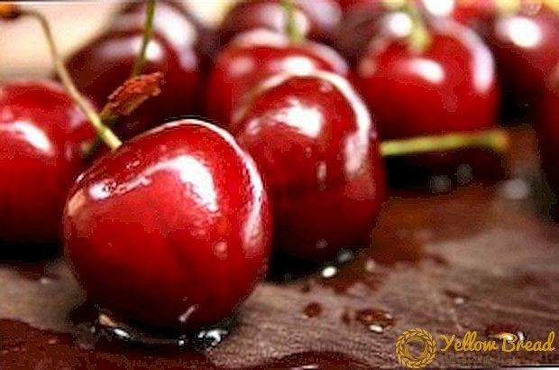 Cherries. Rules for autumn tree care