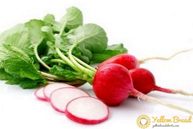Properti migunani saka radishes, lan cara digunakake ing obat tradisional