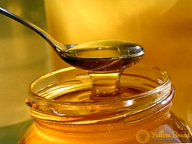 تأثير علاجي من العسل الرحم على جسم الإنسان ، وخاصة إعداد غذاء ملكات النحل