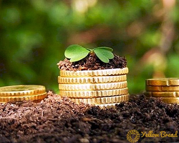 Pertanian Federasi Rusia akan menerima subsidi dalam jumlah 75 miliar rubel