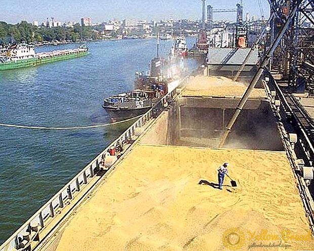 In de eerste week van februari verminderden de zeehavens van het Krasnodar-gebied buitenlandse graanvoorraden
