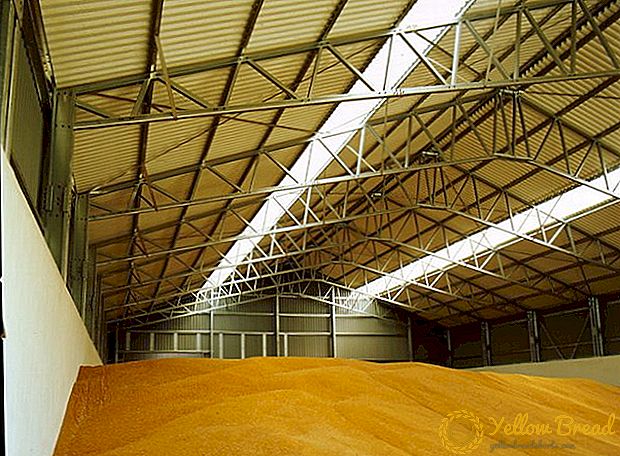 Lavt eksport af korn i Rusland truer plantekampagner