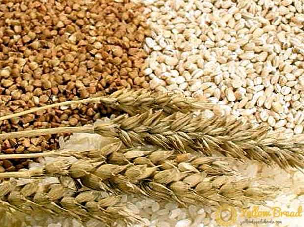 روسيا لديها كميات كافية من الحبوب الغذائية عالية الجودة