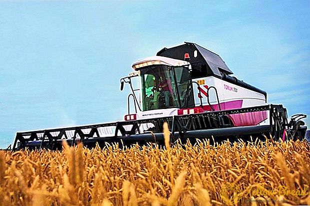 Rusya'nın 2017 yılında rekor tahıl hasadı tekrarlama olasılığı düşük
