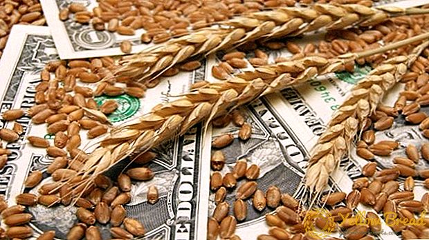 Het ministerie van Landbouw van Rusland zal de interventie bij de aankoop van graan niet hervatten