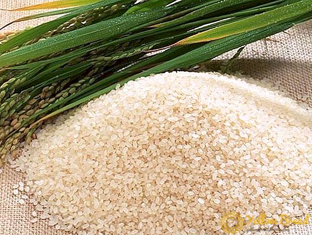 Kekurangan beras di Rusia adalah sekitar 80 ribu tan