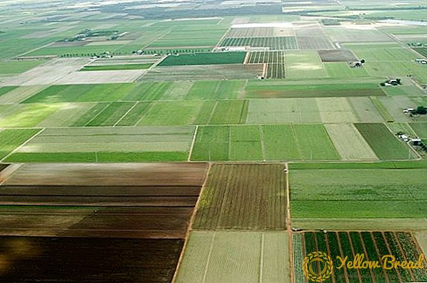 O goberno ruso chamou ás rexións con condicións desfavorables para a agricultura