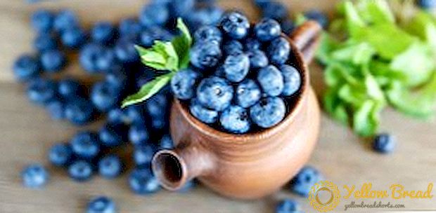 Sifat magis dari blueberry