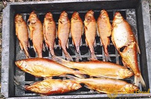 Се што треба да знаете за технологијата на пушењето риба