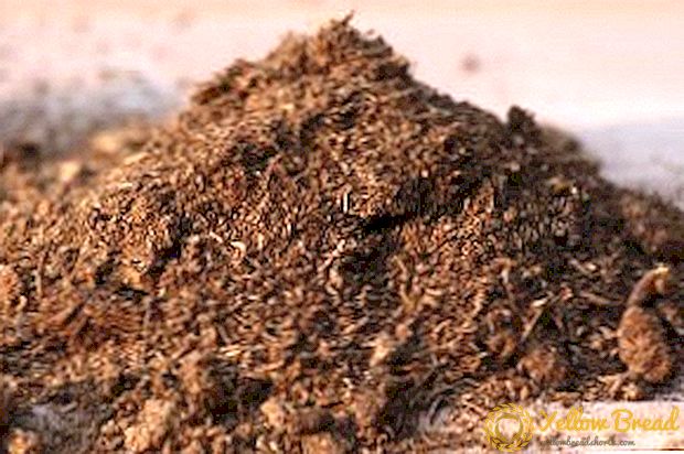 Kenmerken van het gebruik van turf als meststof