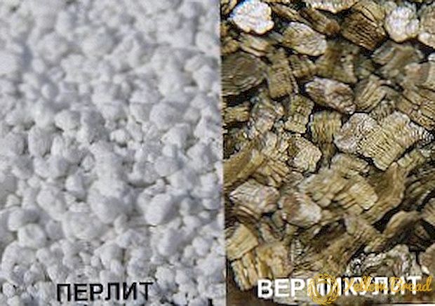 Karakteristik nan pèrlit ak vèrmiculite: resanblans ak diferans