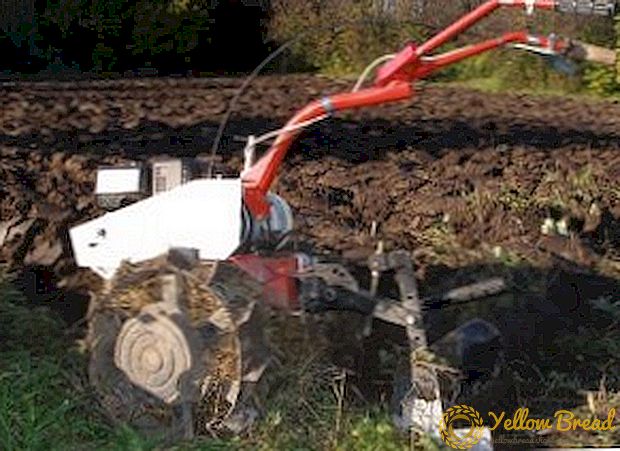 Cara menggali traktor berjalan tanah (video)