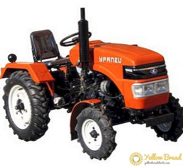 Ev için mini traktör: teknik özellikler 