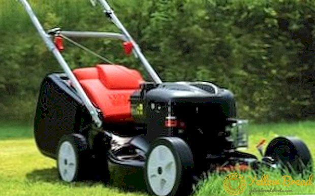 Sửa chữa máy cắt cỏ tự làm: nguyên nhân chính của vấn đề và loại bỏ chúng