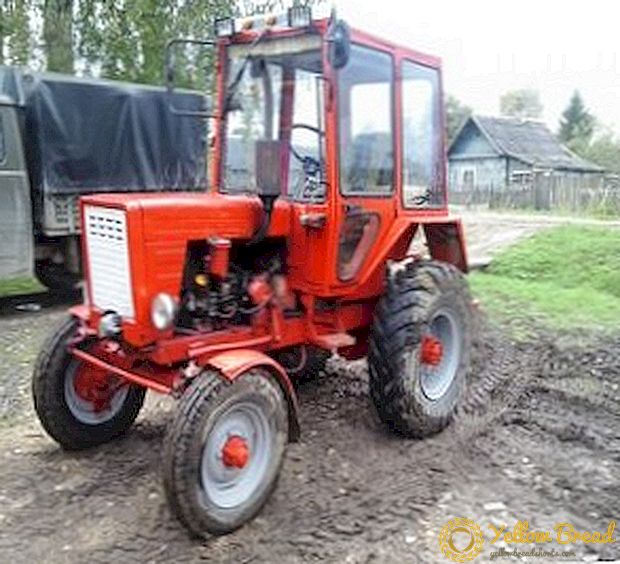 Vladimir Traktör Fabrikası: traktör T-30 açıklaması ve fotoğraf