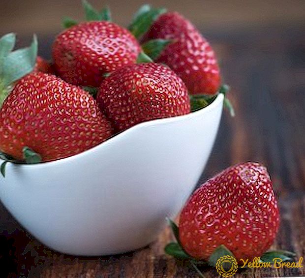 Φινλανδικές φράουλες: πώς να καλλιεργούν φράουλες χρησιμοποιώντας τη φινλανδική τεχνολογία