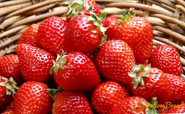 Carane nyiyapake strawberries kanggo mangsa: resep-resep kanggo njaga woh wohan beri