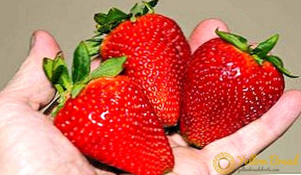 Strawberry (strawberry) 
