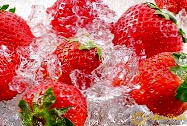 겨울을위한 딸기 냉동의 장점과 최상의 방법