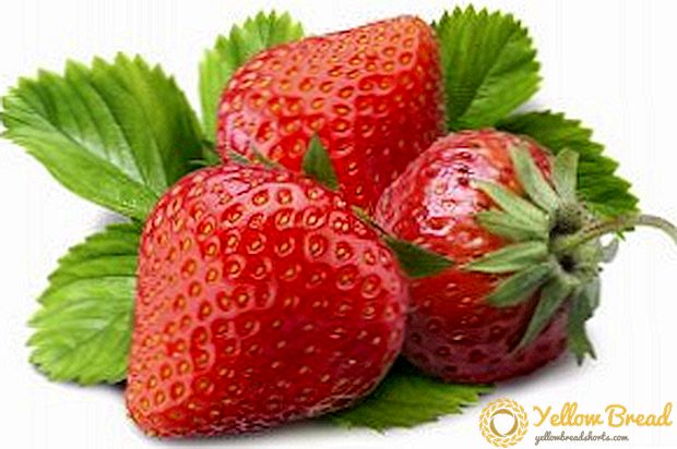 Strawberry variety 