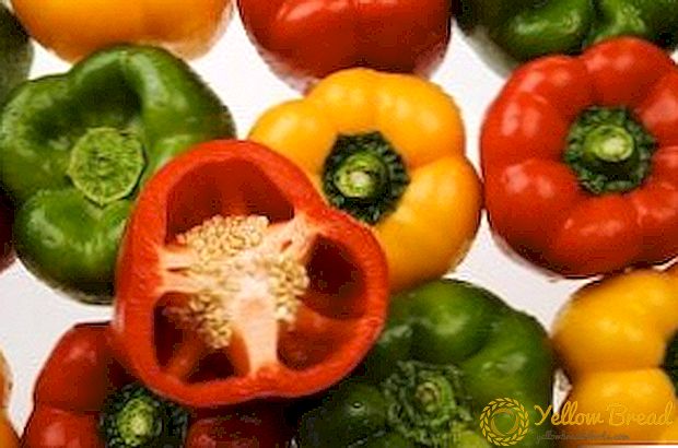 Wat u moet weten over het kweken van paprika's