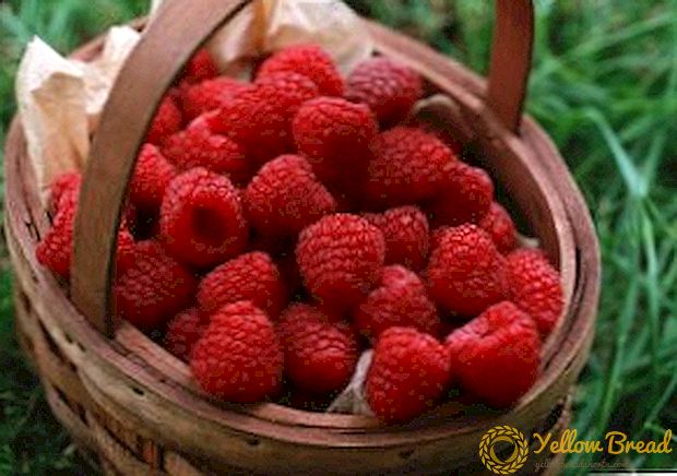 Medicinal properties and application of raspberry