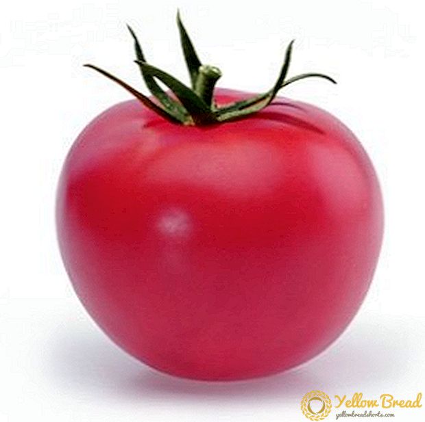 Masanızdan ən yaxşı: çəhrayı pomidor