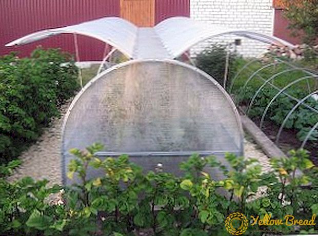 Mga tampok ng pag-install ng greenhouse 