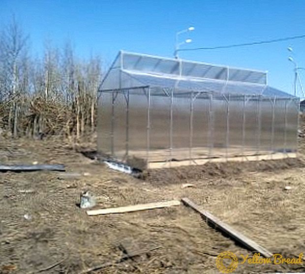 How to make a greenhouse according to Mitlayder: scheme, drawings, calculations