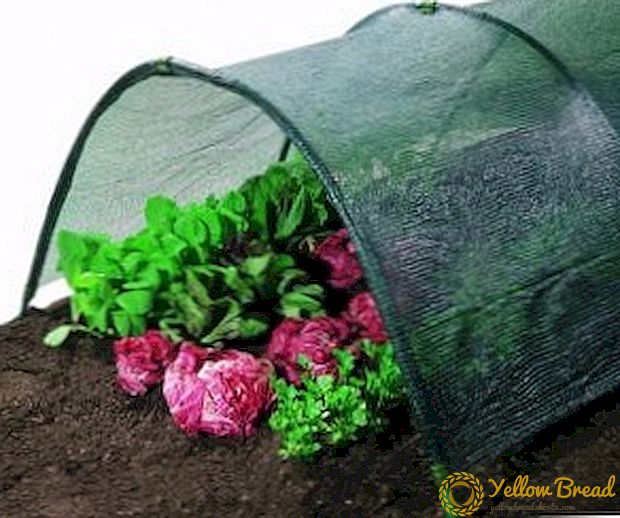 Greenhouse shading net: bakit at paano lilim ang isang greenhouse