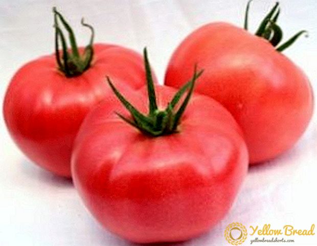 Suureviljaline hübriid kasvuhoonetes kasvatamiseks - rosmariin tomati: omadused, sortide kirjeldus, foto