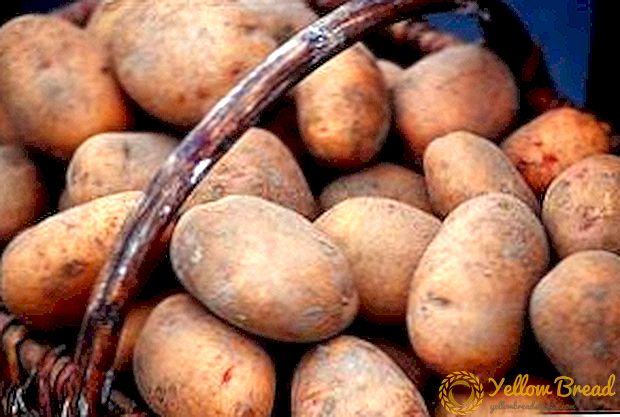 Ulusal seçim şanslı meyve - patates 