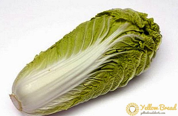 Mjög áhugavert salat úr Peking hvítkál með tungu - margar uppskriftir, ábendingar um að þjóna