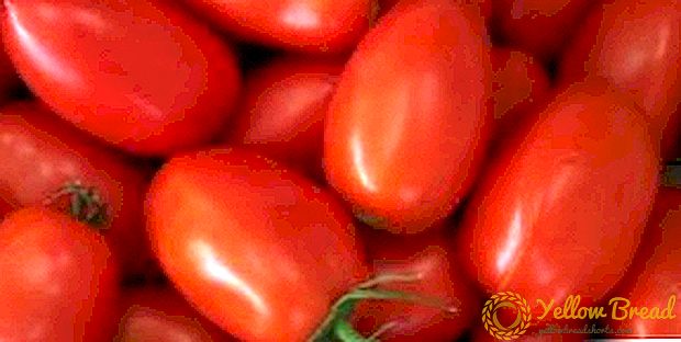 Altijd gezonde tomaat 