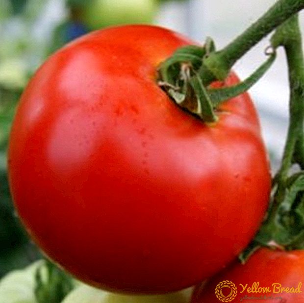 Usædvanlig lækker tomat 