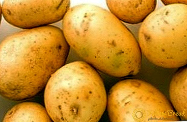 Mooi zonder gebreken - aardappel 